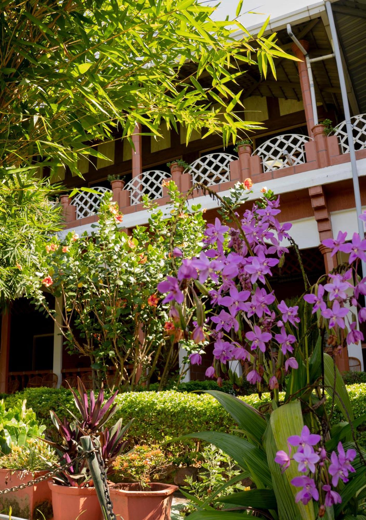 The Nest Inn Resort Masinagudi Kültér fotó